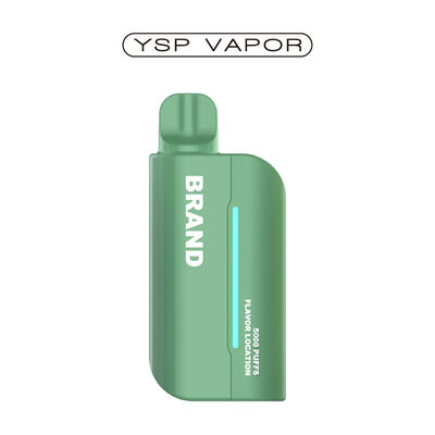 القلم القابل لإعادة الشحن 15000 Puffs Pod System السيجارة الإلكترونية Prefilled Mesh Coil القلم القابل لإعادة الشحن